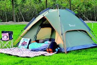 明媚春光催熱大慶踏青經(jīng)濟，戶外用品旺銷垂釣配件成亮點